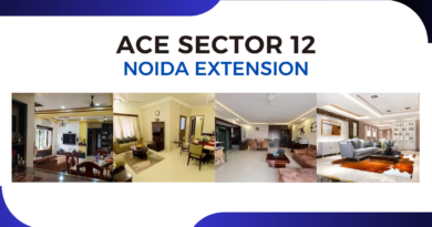 Ace Sector 12 Noida Extension